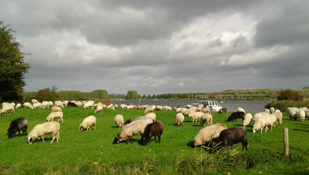 17 okt 2013  Donkere wolken pakken zich samen boven de Noorderplassen.