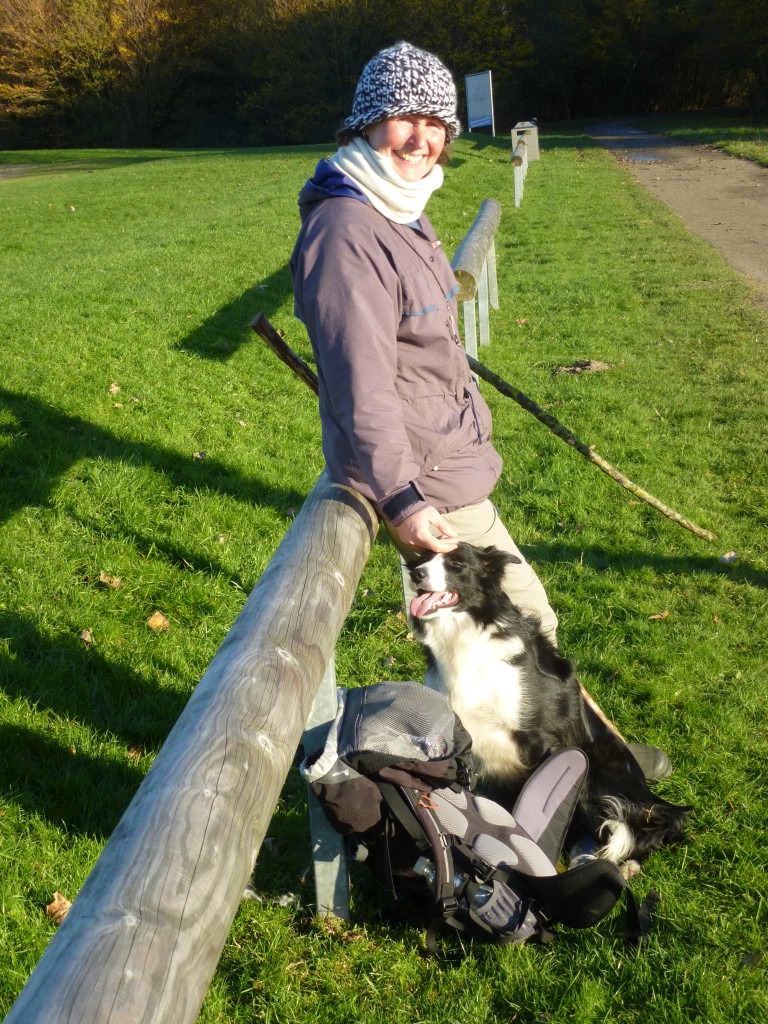 30 sep 2013 De schapen grazen tevreden in het fisse najaar van 2013. De herder en haar maatje genieten even van het zonnetje.